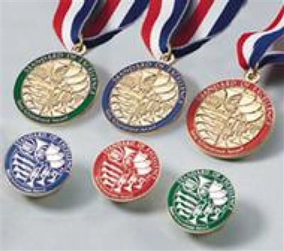 Standard of Excellence Book 2 Award Pin